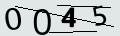 verifycode